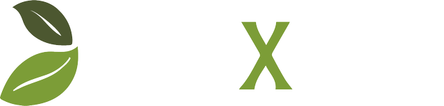 FreshXperts